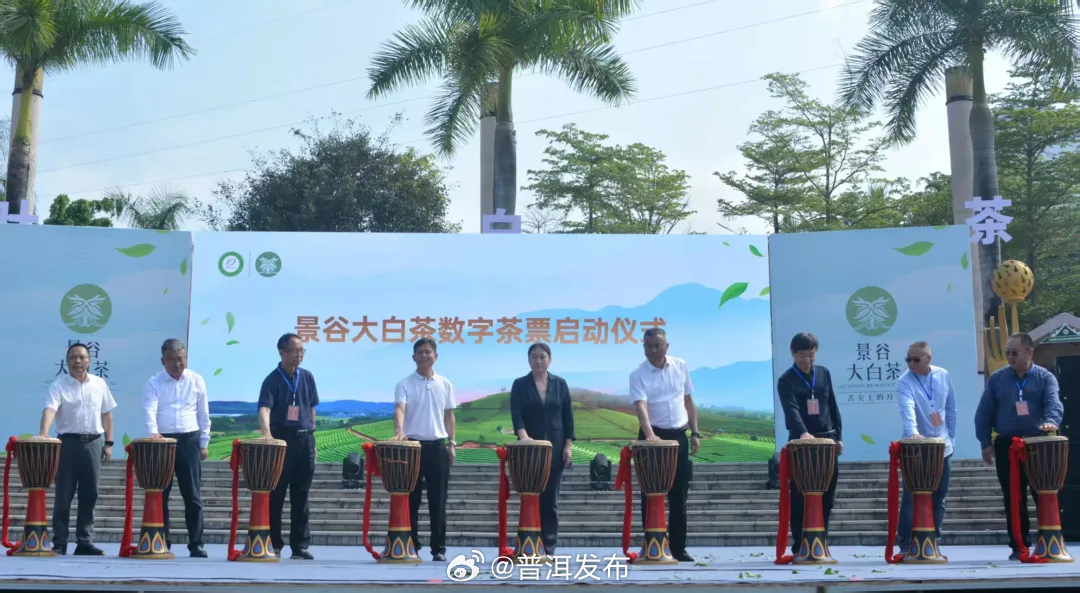 云南景谷：破题开路、破局突围，吹响大叶白茶产业转型升级冲锋号