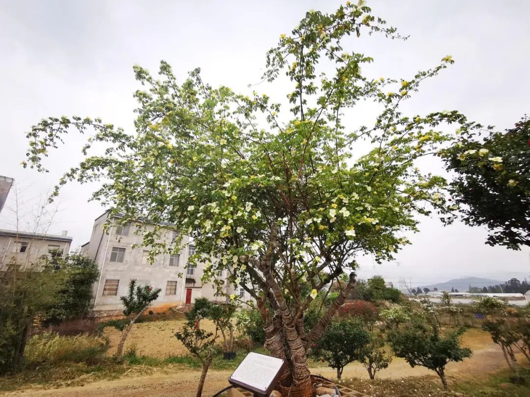 晋宁 诗意的栖居地