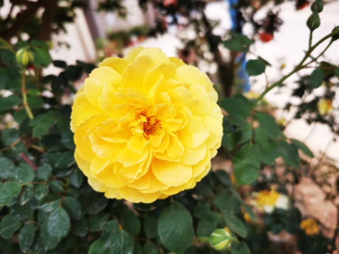 晋宁 诗意的栖居地