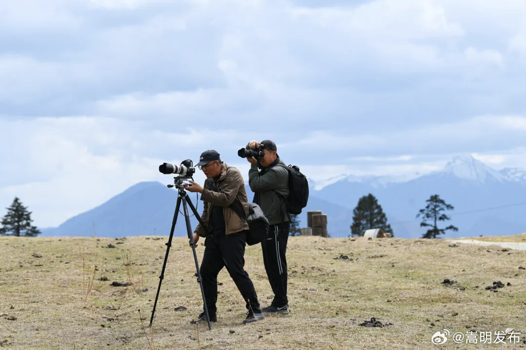 丽江20多名摄影师聚焦格拉丹之美