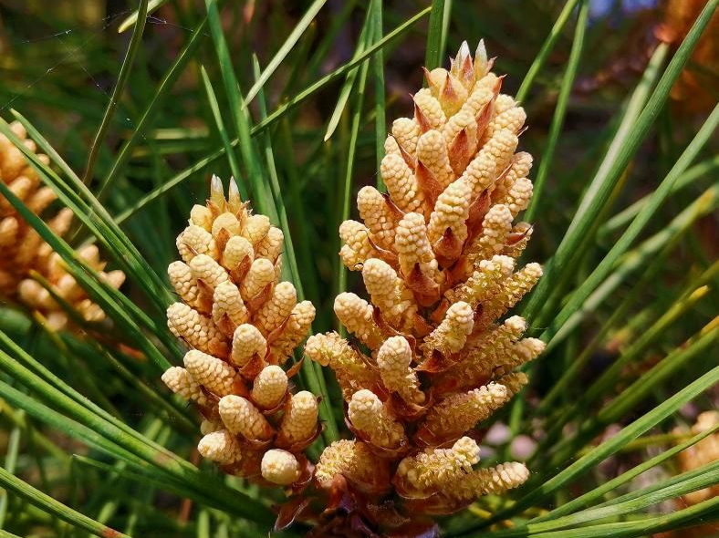 昆明市中医医院