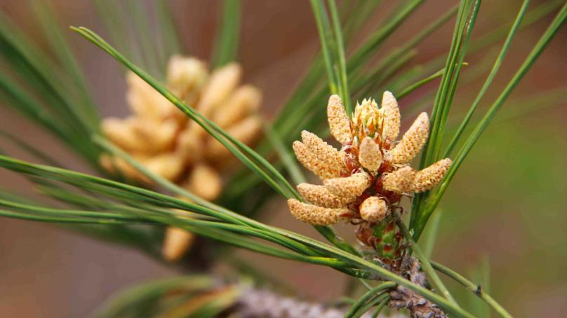 昆明市中医医院