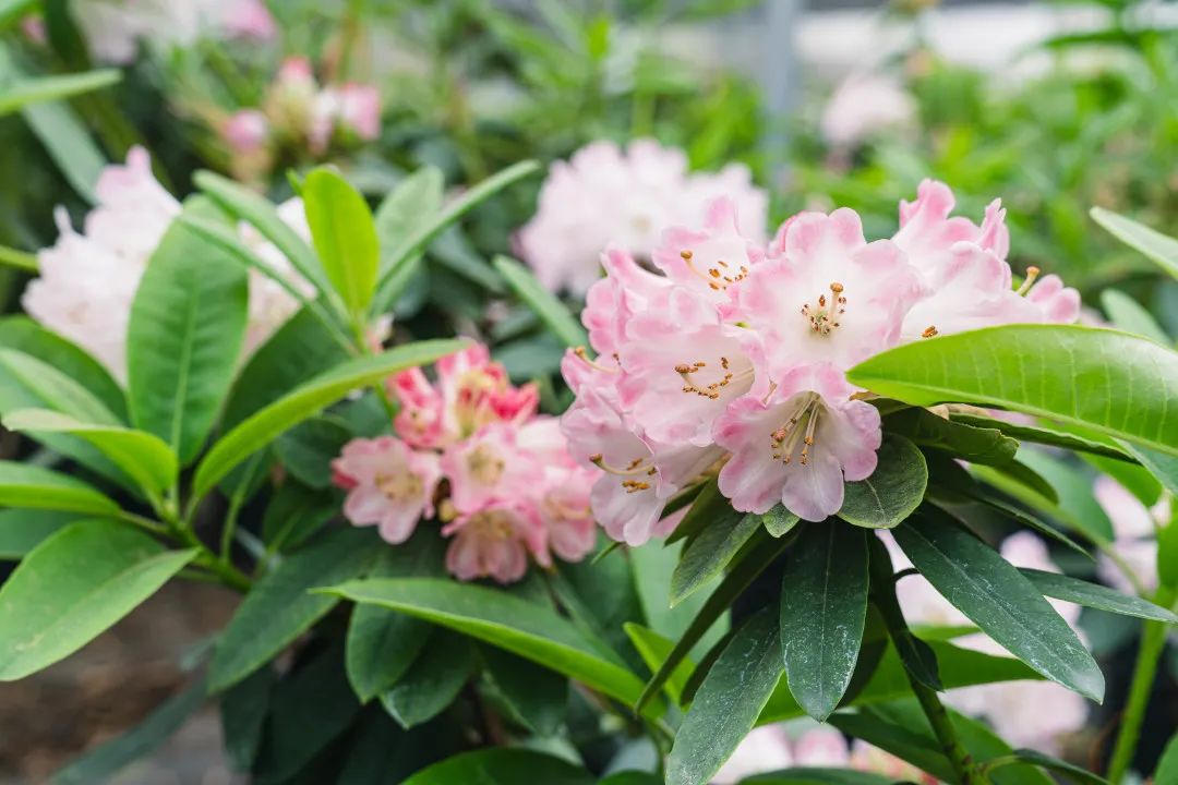 晋宁 诗意的栖居地