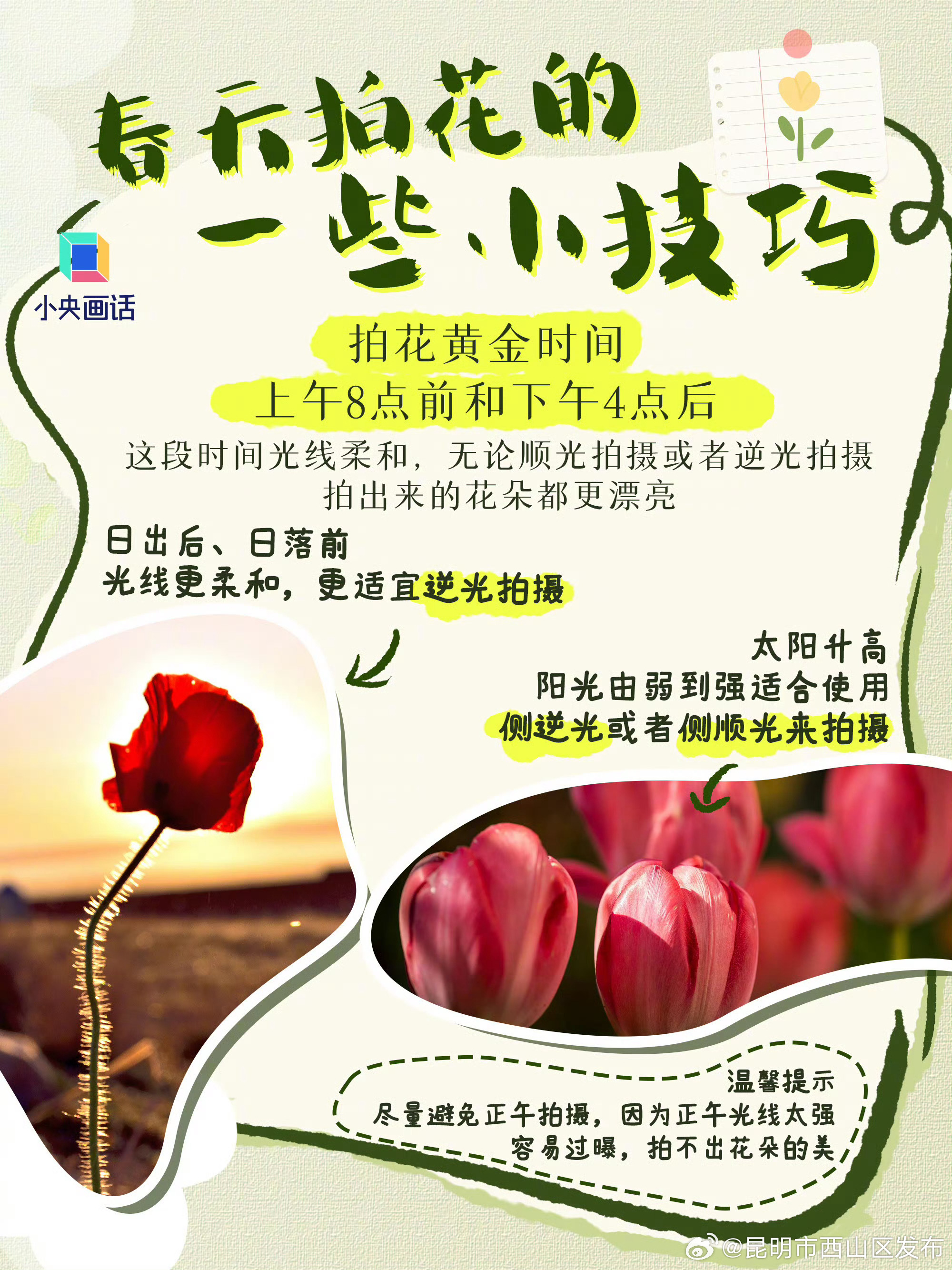 昆明市西山区发布