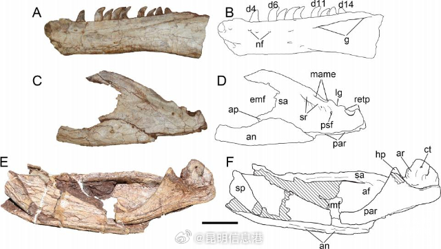 昆明信息港微博