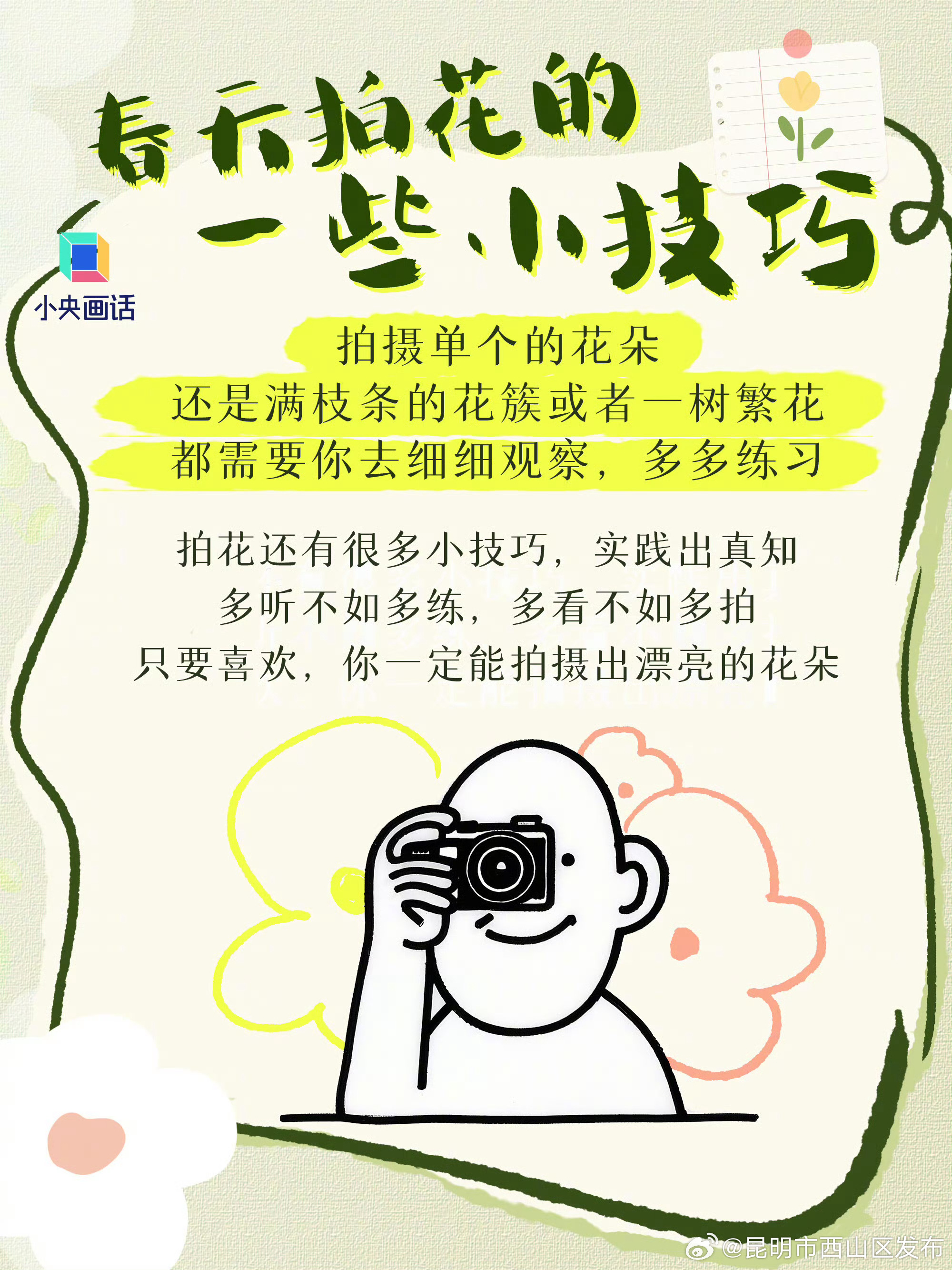 昆明市西山区发布