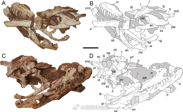 昆明信息港微博