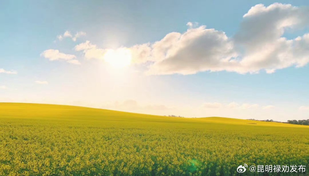  会晒太阳才能补够维生素D 