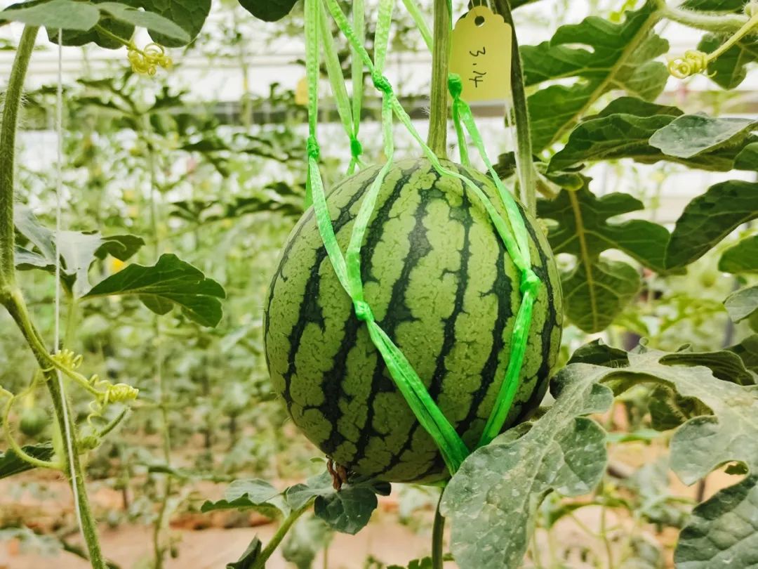 晋宁 诗意的栖居地