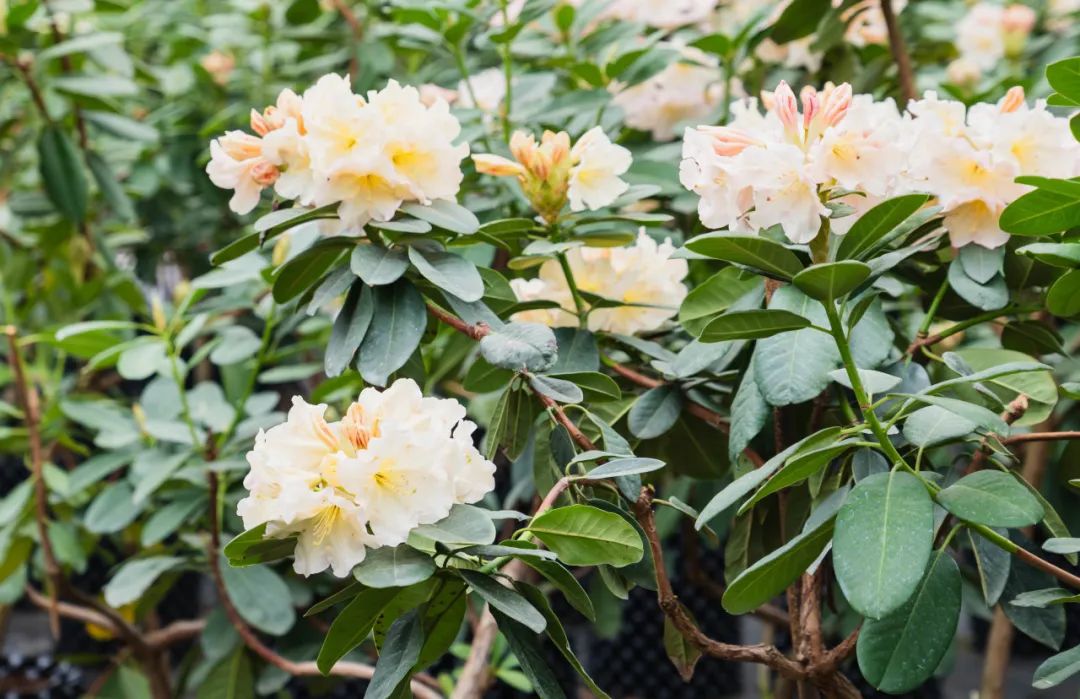 晋宁 诗意的栖居地