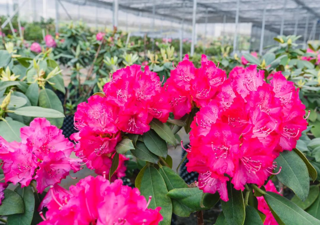 晋宁 诗意的栖居地