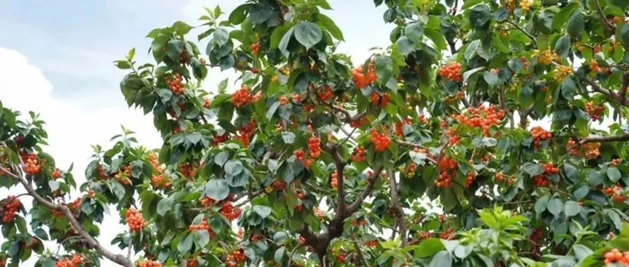 昆明阳宗海风景名胜区