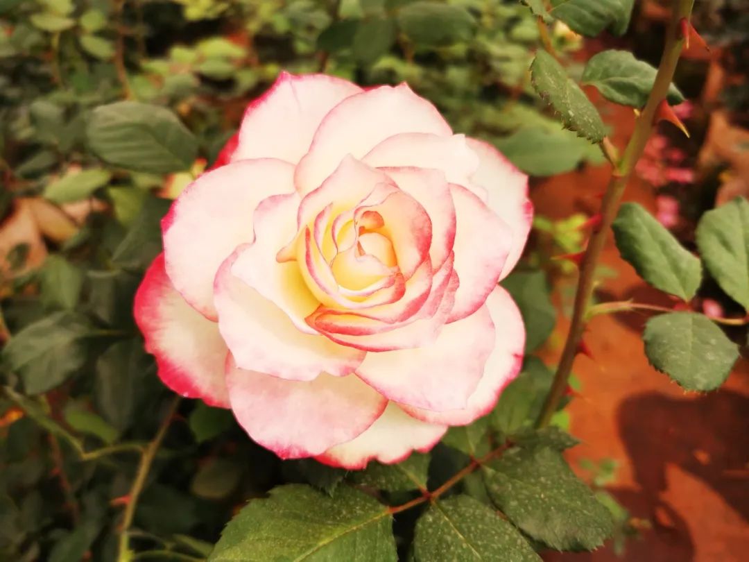 晋宁 诗意的栖居地