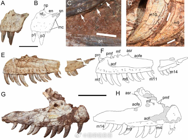 昆明信息港微博