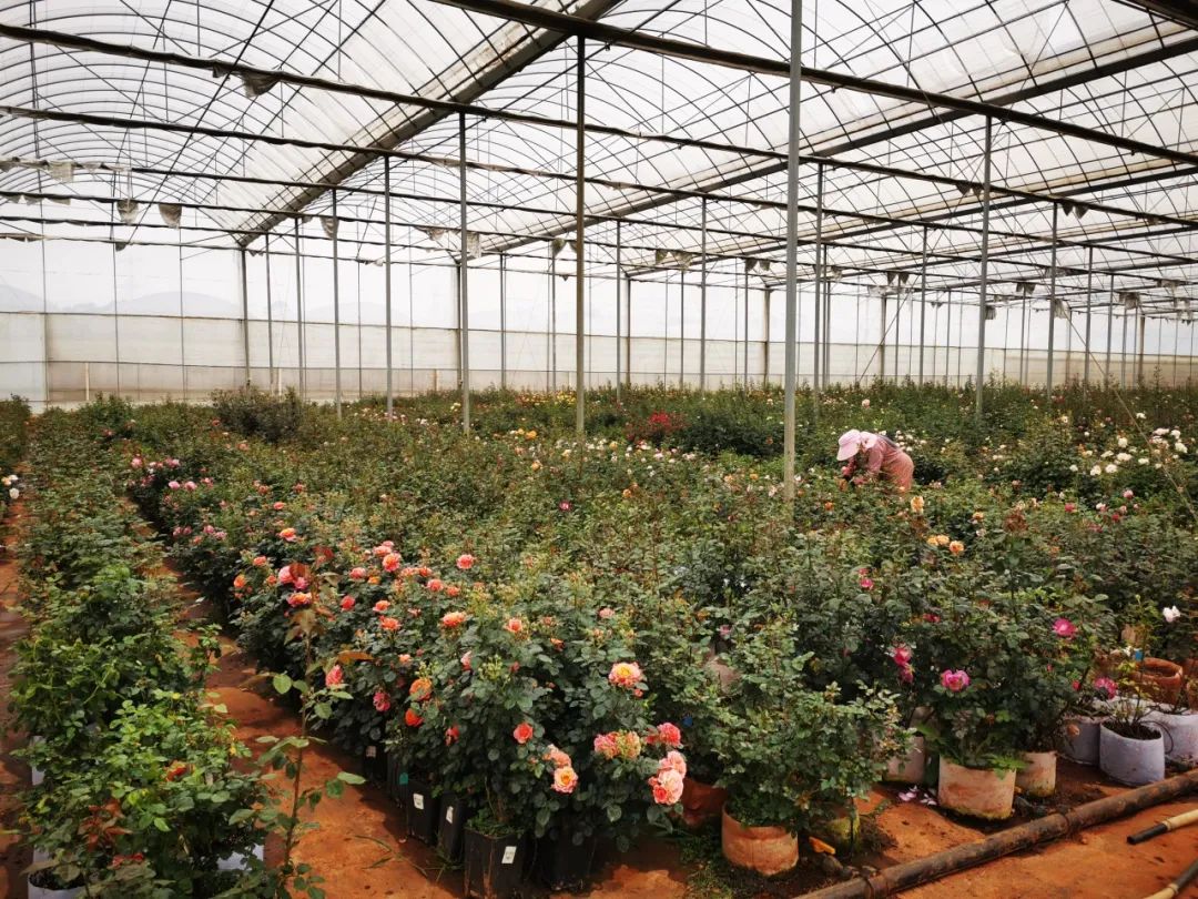 晋宁 诗意的栖居地