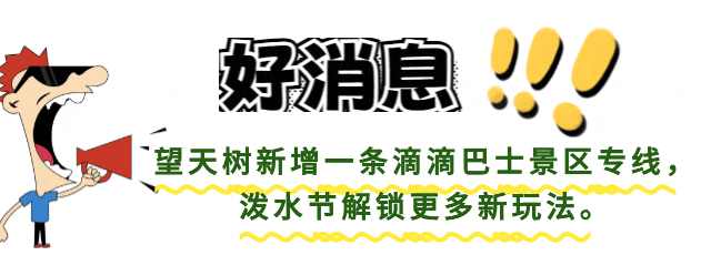 西双版纳望天树景区