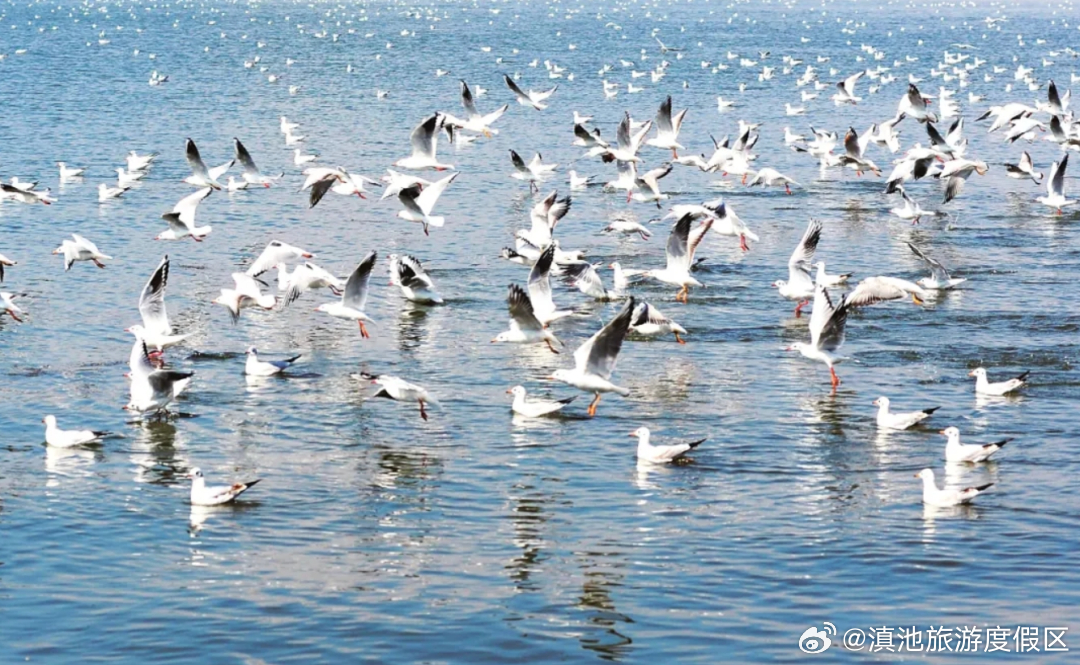 滇池旅游度假区