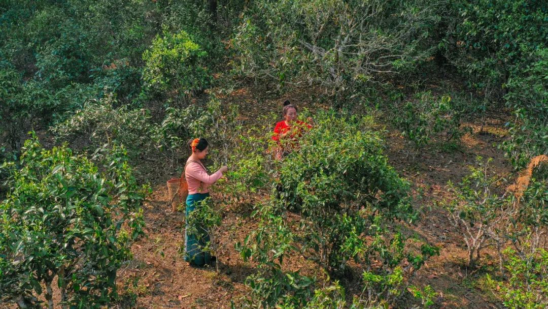 云南省人民政府