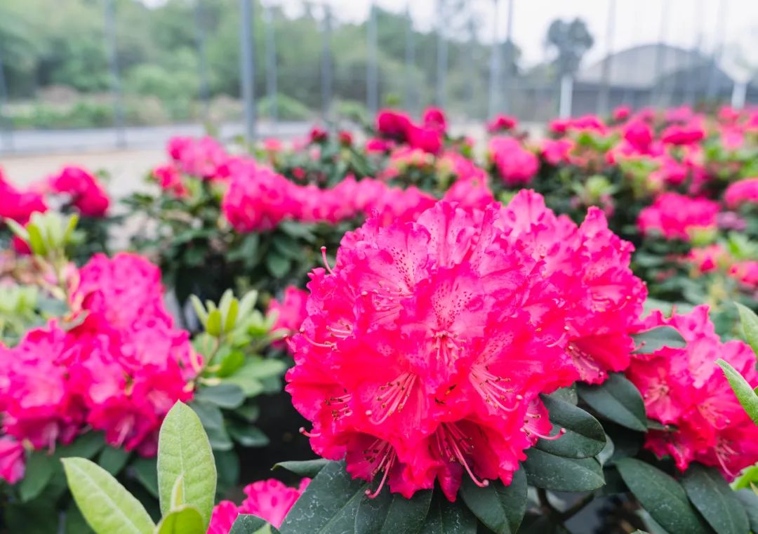 晋宁 诗意的栖居地