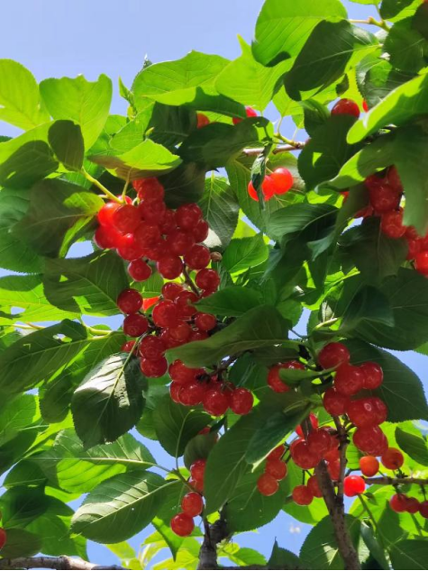 昆明阳宗海风景名胜区