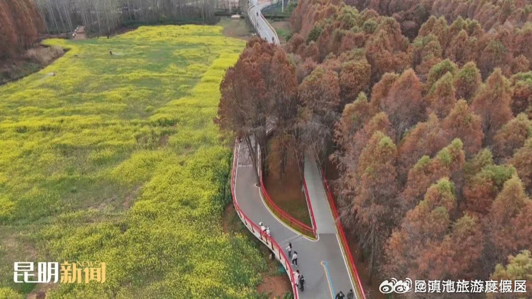 生态昆明 | 沉浸式赏湖光山色 领略昆明生态人文之美