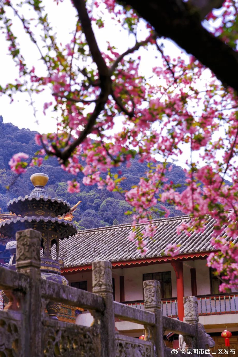 昆明市西山区发布