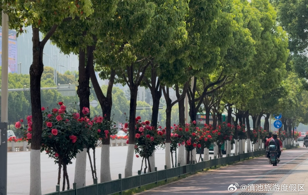 滇池旅游度假区