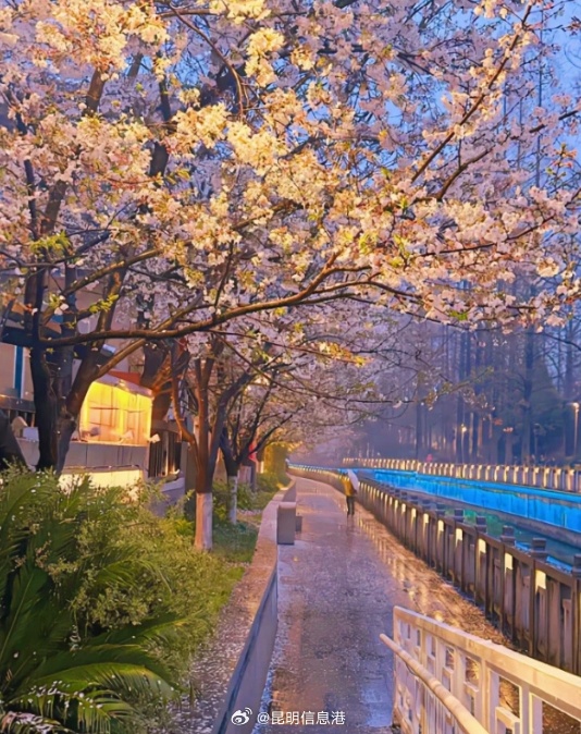 2025年清明节假期天气预报