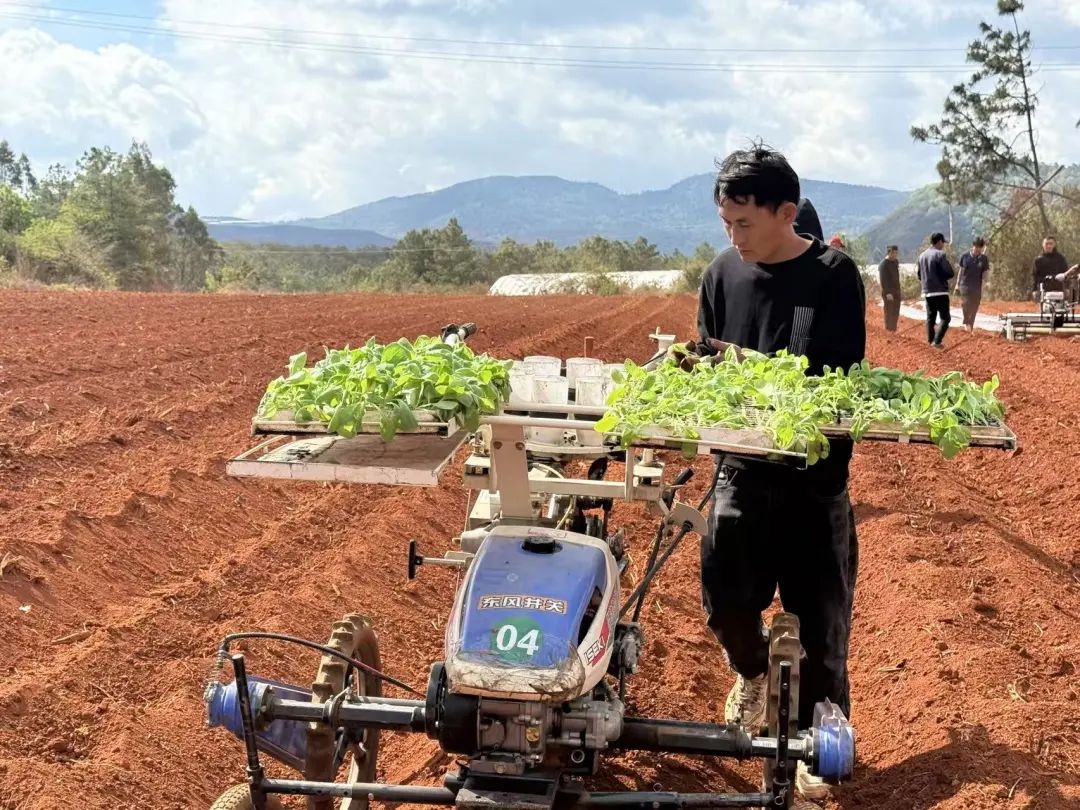 晋宁 诗意的栖居地