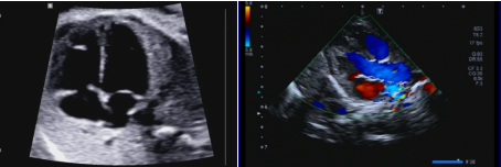 昆明市第一人民医院