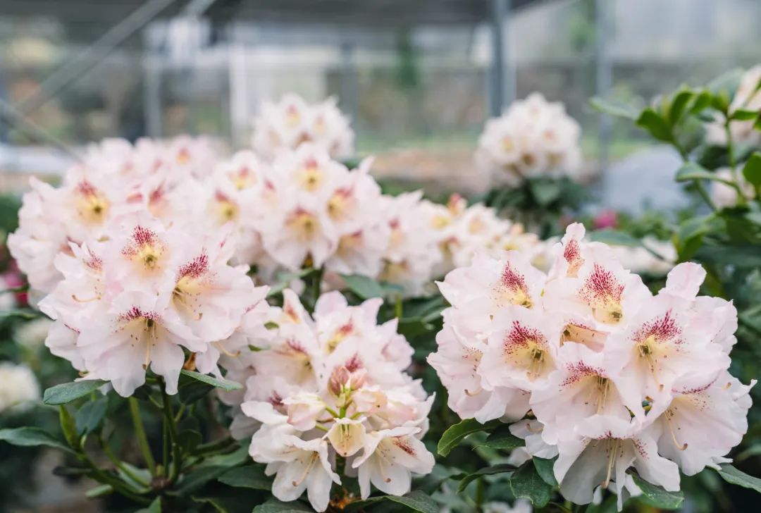 晋宁 诗意的栖居地