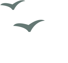 昆明国家高新区发布