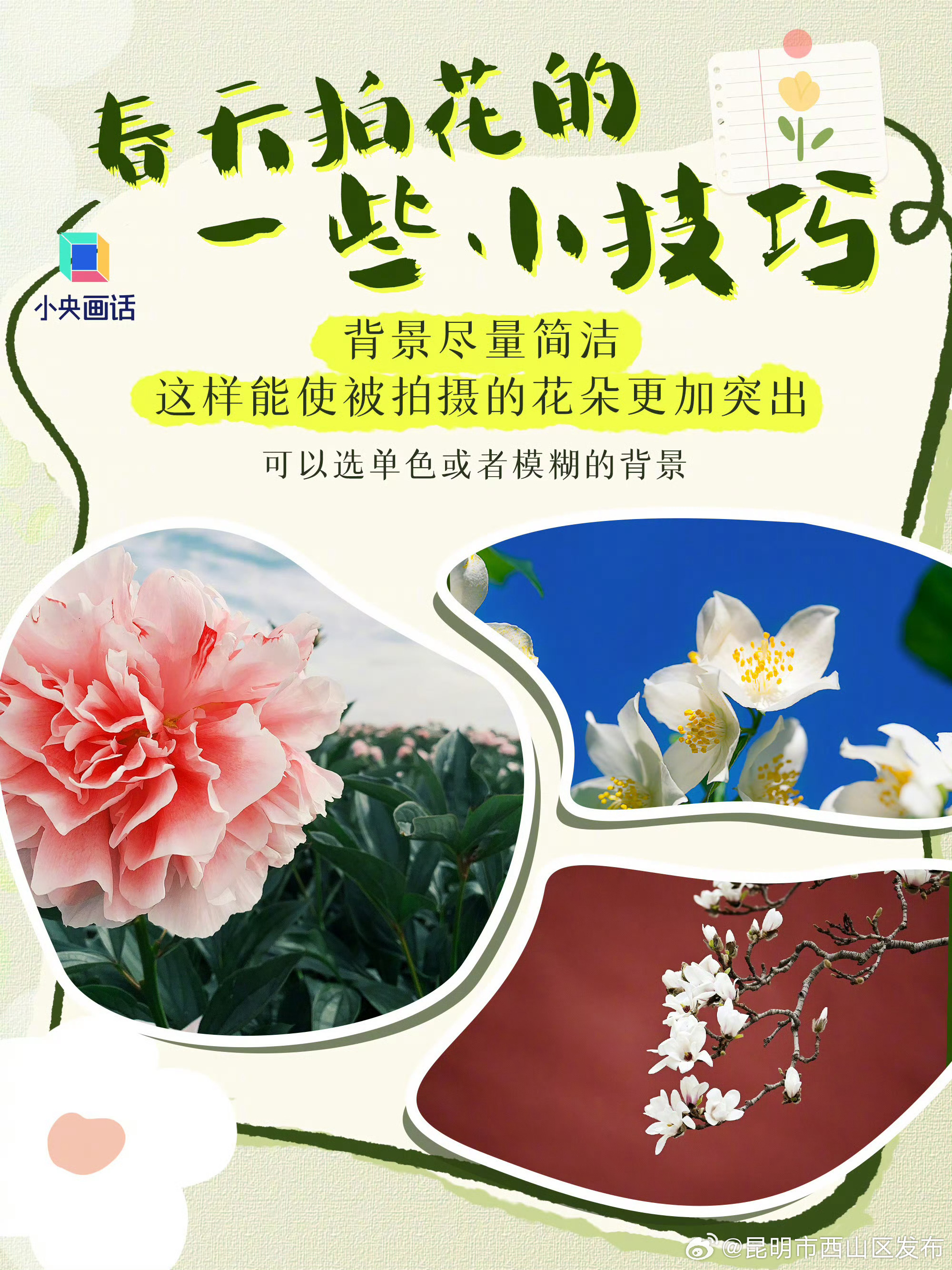 昆明市西山区发布