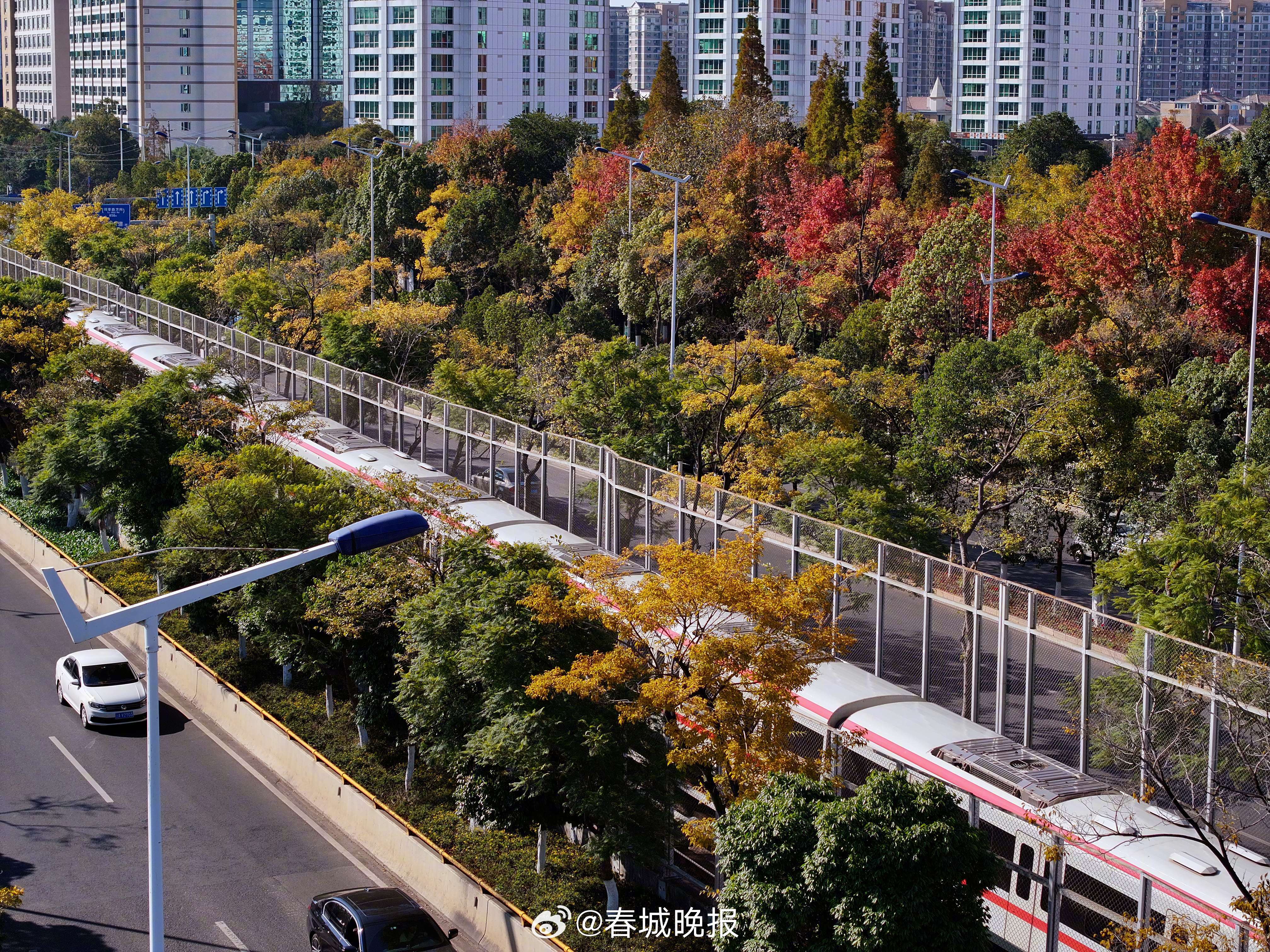 昆明地铁4月15日起正式执行调价