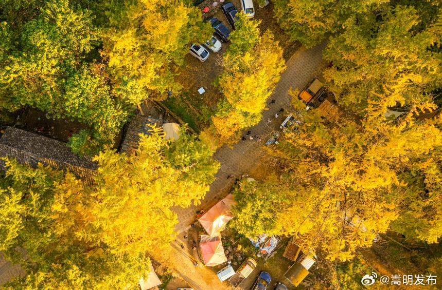 旅居云南｜云南立体气候绘就“四季旅居”新图景