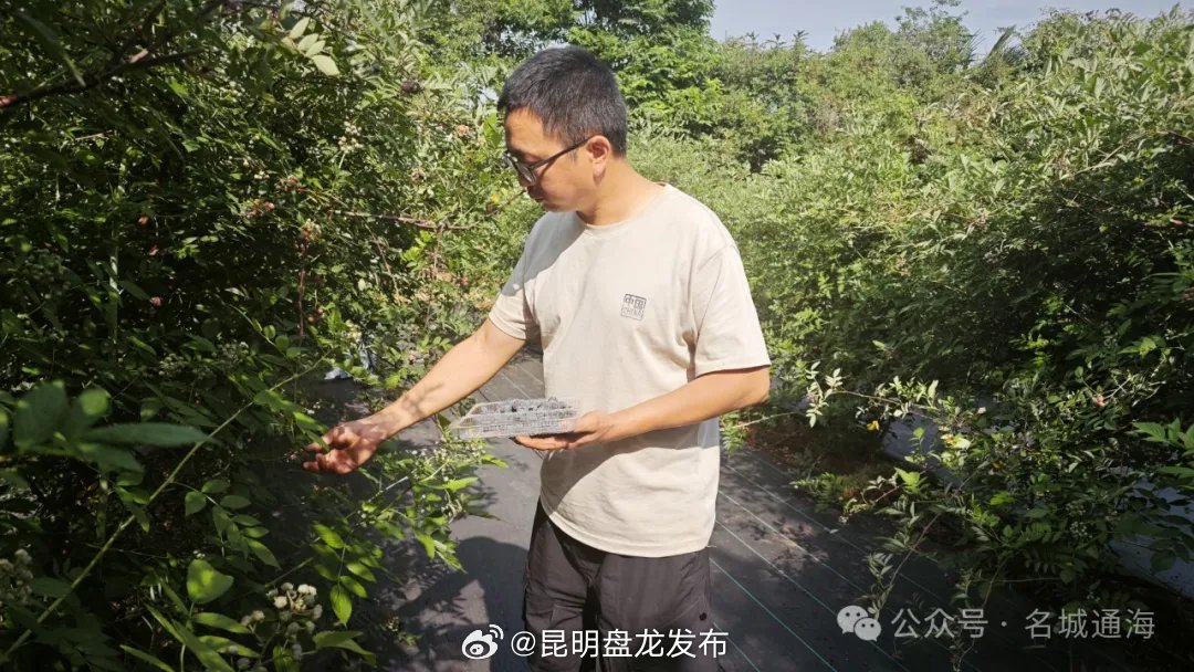昆明盘龙发布
