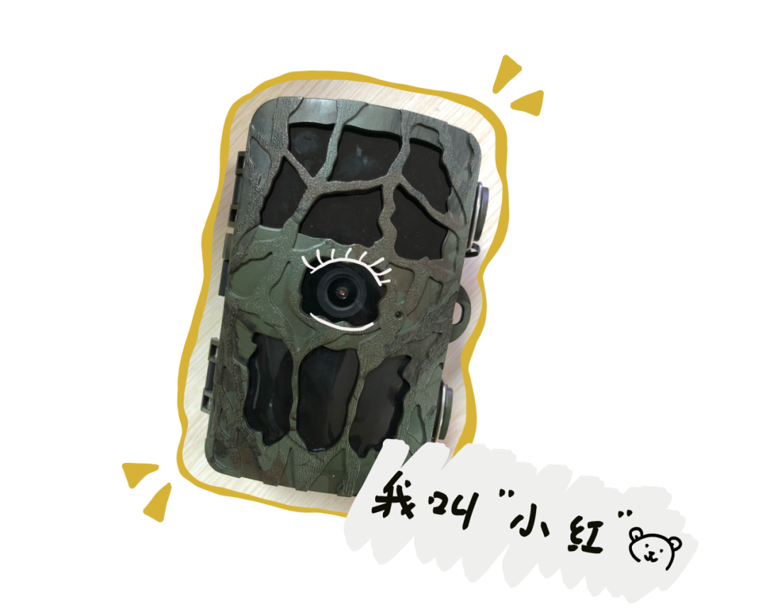 云南野生动物园