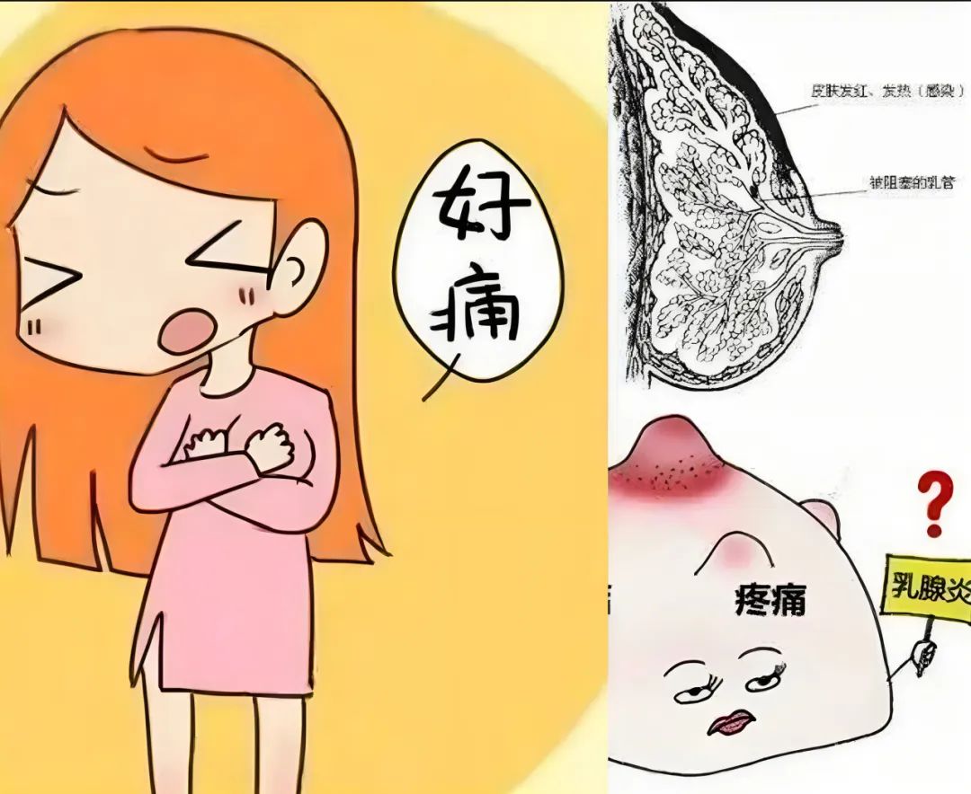 云南省第三人民医院