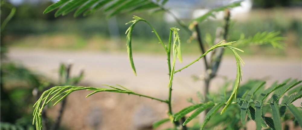 昆明市中医医院