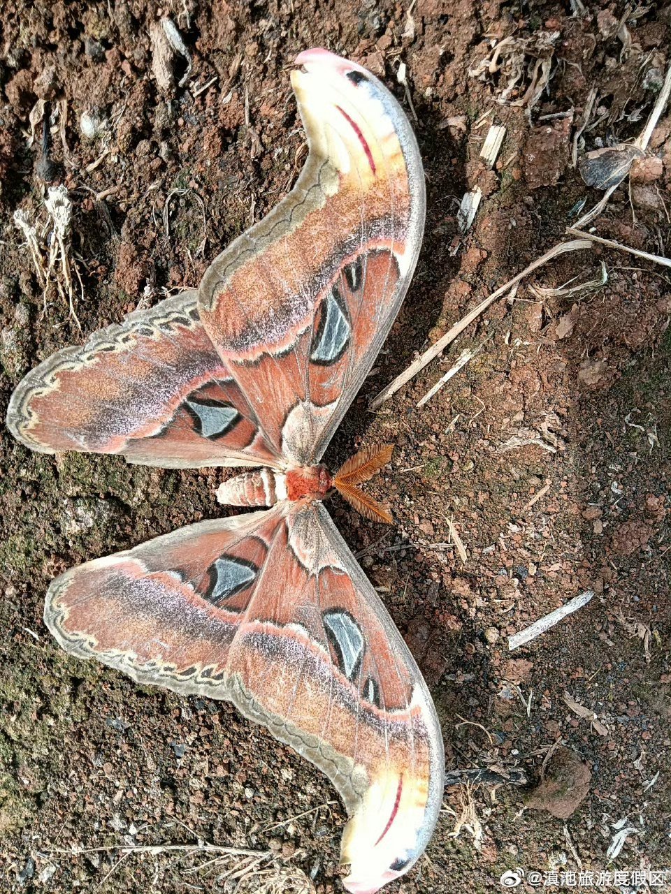 滇池旅游度假区