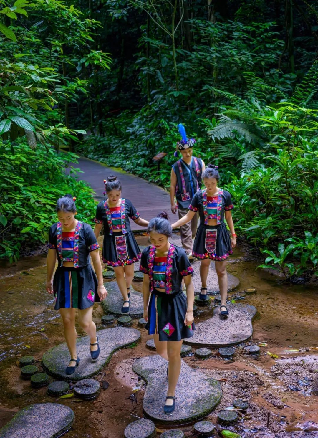 西双版纳望天树景区