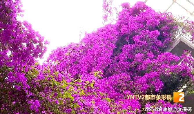 滇池旅游度假区