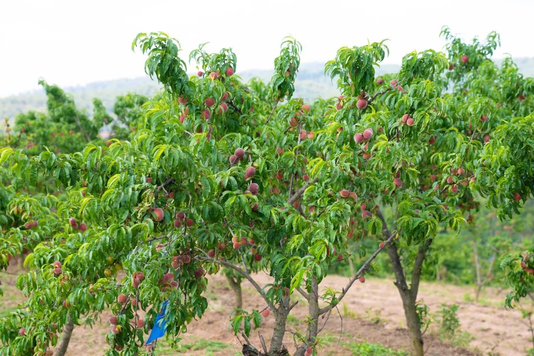 晋宁 诗意的栖居地