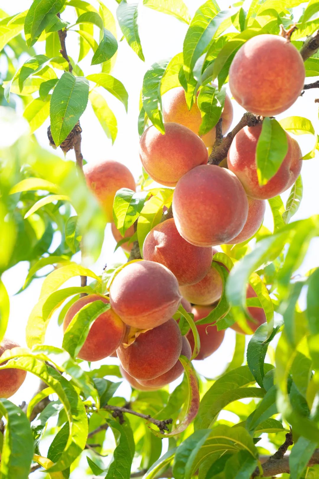 晋宁 诗意的栖居地