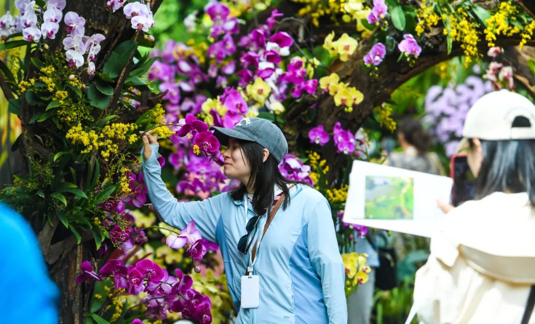 昆明阳宗海风景名胜区