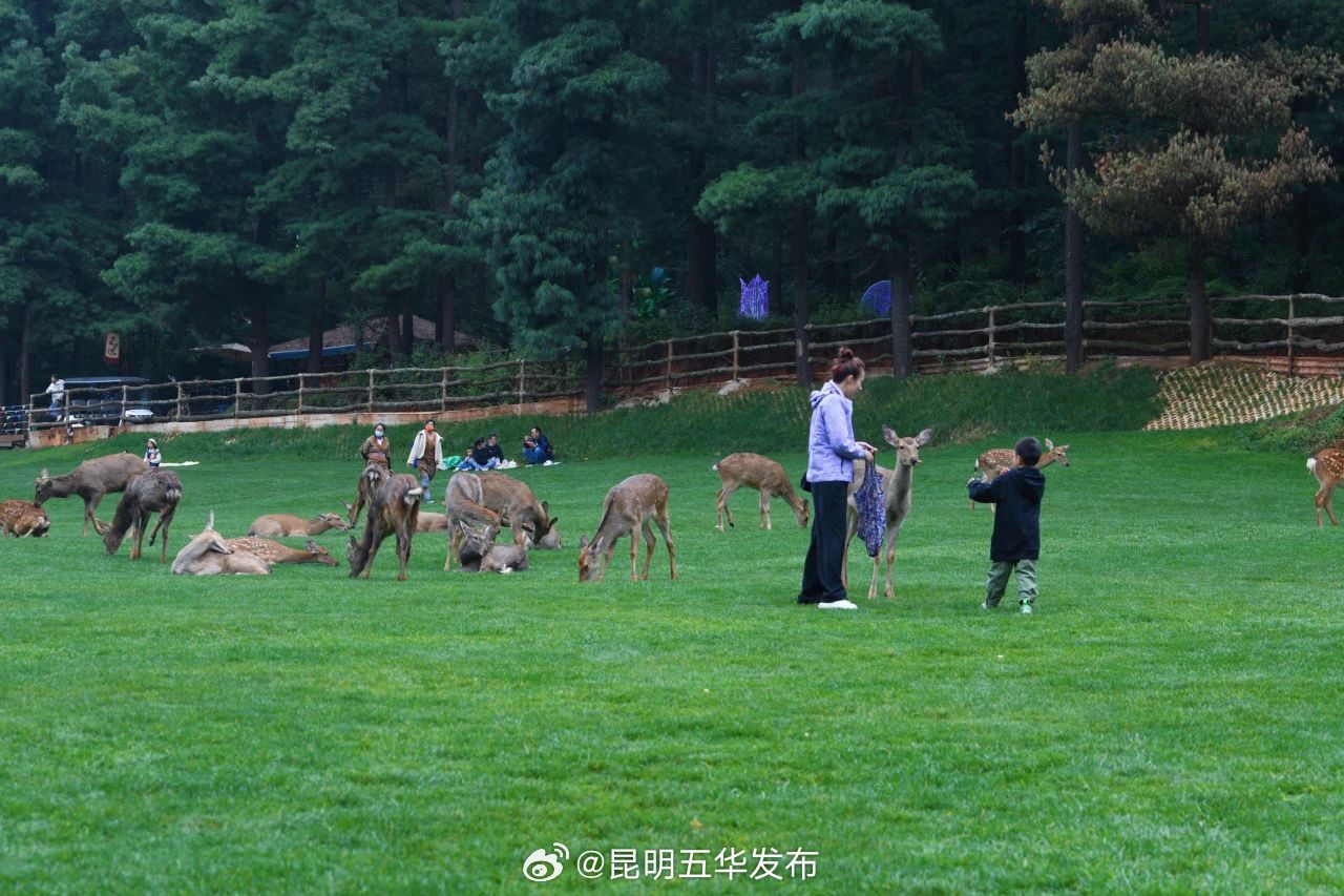 昆明五华发布