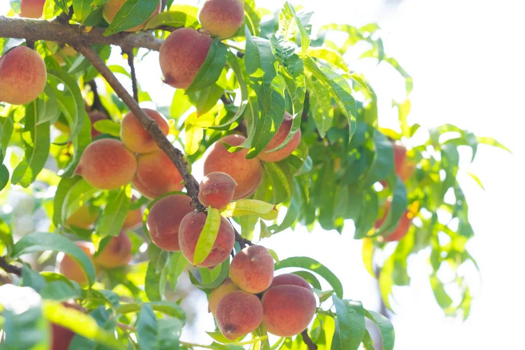 晋宁 诗意的栖居地