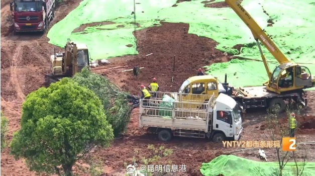 昆明信息港微博