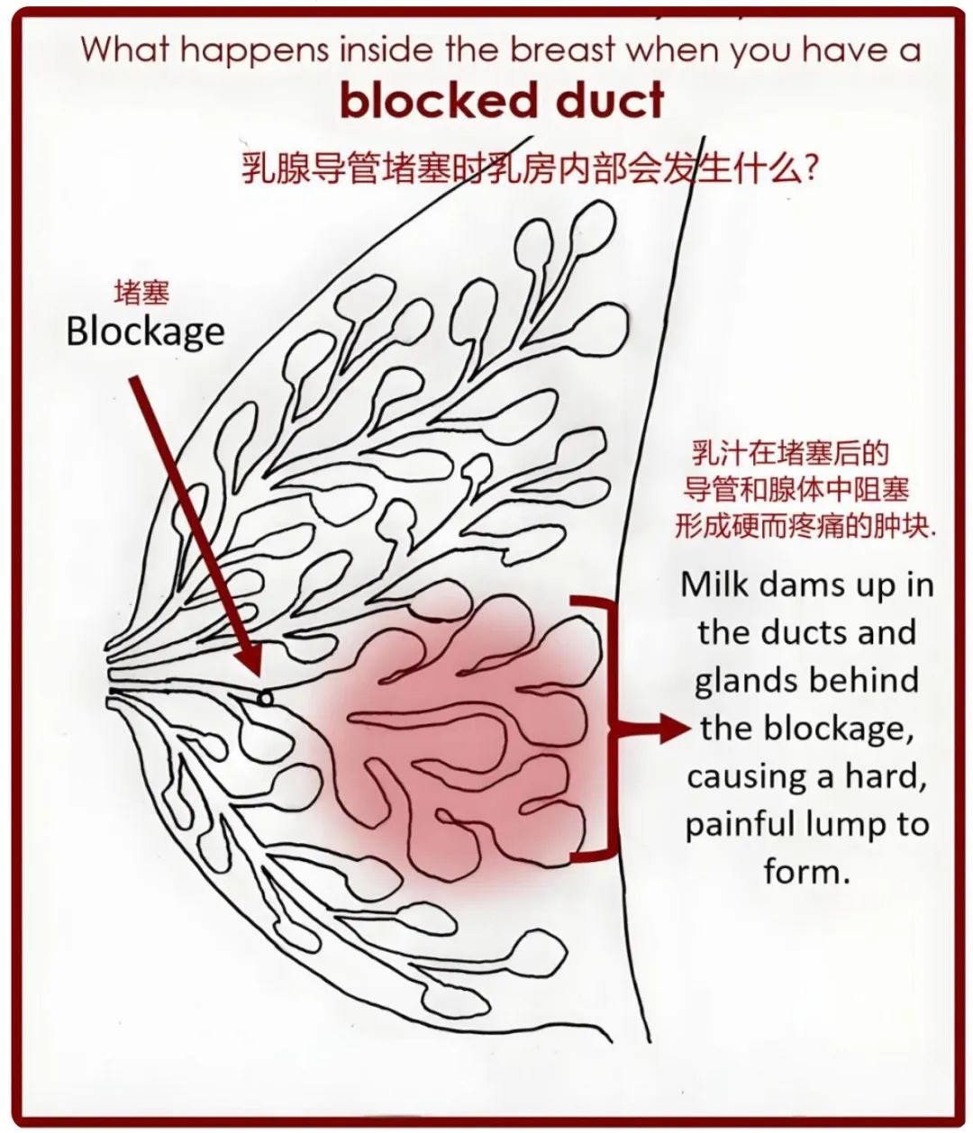 云南省第三人民医院