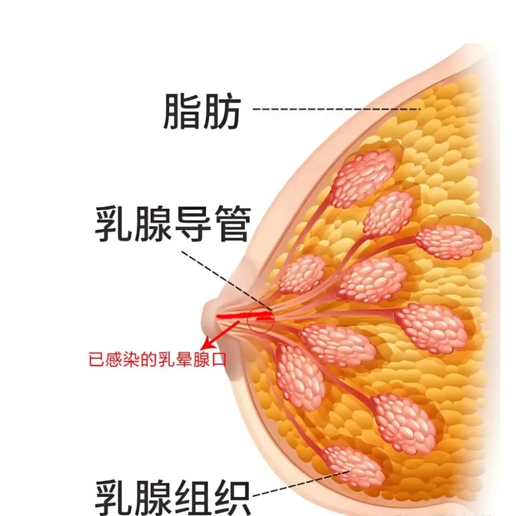 云南省第三人民医院